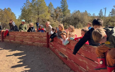 Top 15 Things to Do at Your Next Church Youth Camp